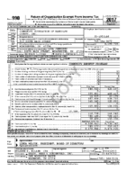 2017 IRS Form 990