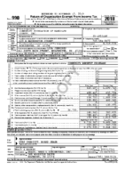 2018 IRS Form 990