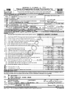 2019 IRS Form 990