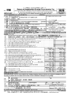 2020 IRS Form 990