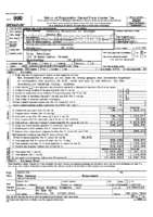 2024 IRS Form 990